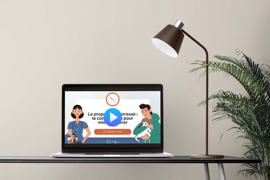 Mockup Help4Vet Video Frame Laptop
