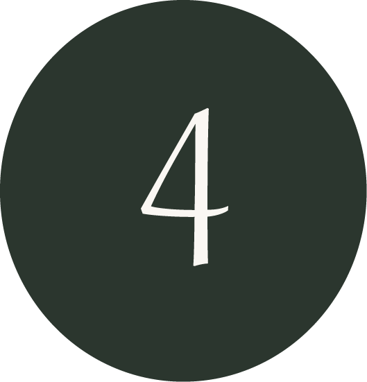 icon 4