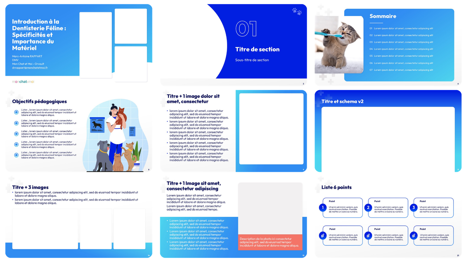 Dr Rappart Mockup Website Dr Rappart Mockup Website