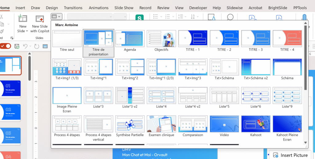 Masque Antoine rappart